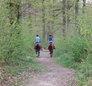 Sur les hauteurs autour des étangs de la Minière - Guyancourt - 2
