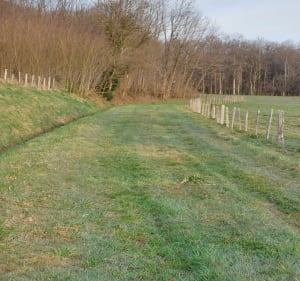 Dans les bois de Soumaintrain - Soumaintrain - 2