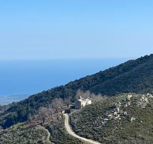 SANTA Maria di POGGIO / Felicio / cervione / SANTA Maria - Santa-Maria-Poggio - 4