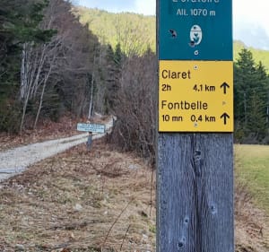 Le Pic de l'Aigle depuis la Route de la Jarjatte - Lus-la-Croix-Haute - 2