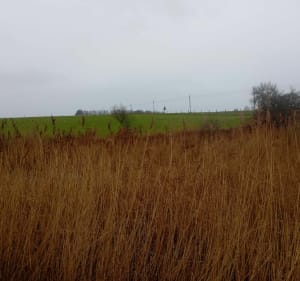Balade à Criquetot l'Esneval - Criquetot-l'Esneval - 3