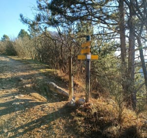 Petit tour sur les hauteurs de Digne les Bains - Digne-les-Bains - 2