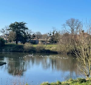 D'Ormes à Ingré par la coulée verte, le moulin et le lac - Ormes - 2