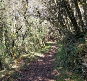 Balade de la palombière à Sainte-Nathalène - Sainte-Nathalène - 3
