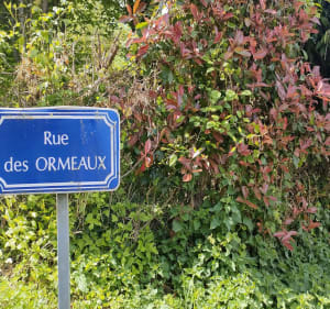 Autour de Nieul-les-Saintes - Nieul-lès-Saintes - 2