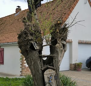 De Nieurlet à Clairmarais - Nieurlet - 2