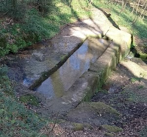 Promenade en forêt. Départ Danne et Quatre Vents - Danne-et-Quatre-Vents - 2