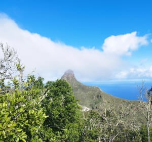 Roque de Taborno à Ténérife - Taborno - 2