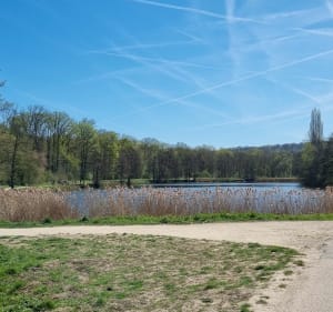 Faisan doré, le nid d'aigle via le château de la Chasse - SANDRINE - 3