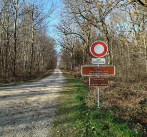 Balade en forêt de Chaux et Parc Sauline - Segolene - 4