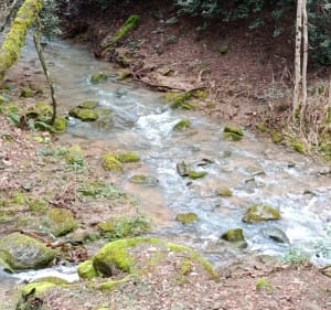 Par Gagnières à Bessèges - Bessèges - 2