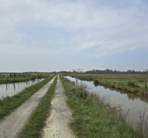 Balade le long de la Charente, par Basse Roche - Saint-Laurent-de-la-Prée - 2