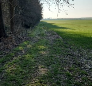 Entre Somme et Oise, par Flavy - Esmery-Hallon - 2