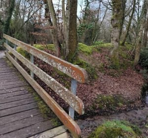 Boucle du Pont De Pacé - Pacé - 2