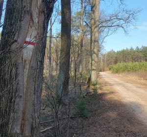 Grotniki, ścieżką wzdłuż meandrującej rzeki Lindy - Grotniki - 2