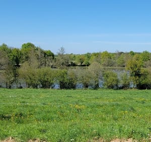 Petit-Mars, son marais, ses petits villages - Petit-Mars - 2