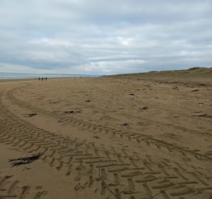 Tourneville sur mer et alentours plage et campagne - Tourneville-sur-Mer - 2
