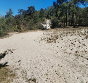 De Boissy à la carrière de Villeneuve-sur-Auvers - Boissy-le-Cutté - 2