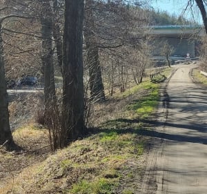 Rybki k/Lęborka - Grażyna - 4