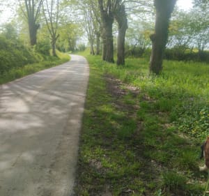 Boucle autour de Jasses - Jasses - 5