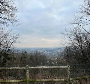 Forêt et Étang Godart depuis Eaubonne - Eaubonne - 2