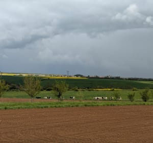 Boucle entre Xeuilley et Bainville - Xeuilley - 2