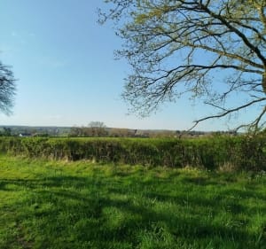 Sentier communaux, depuis Palinges et le Fourneau - Palinges - 2