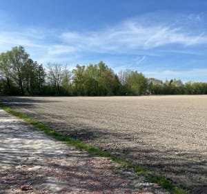 Boucle de la Cousinerie à la base des Bonniers - Villeneuve-d'Ascq - 2