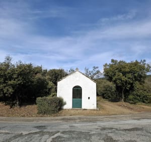 Le Priou et Bois de Montahuc - Monique - 4