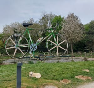 Boucle de La Moinerie à Noyal-sur-Vilaine - Noyal-sur-Vilaine - 2