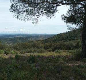 Boucle de Saint-Paul-lès-Durance, par Peycail - Saint-Paul-lès-Durance - 3