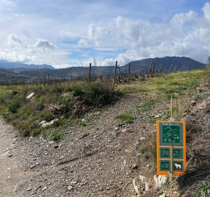 Petite Balade Plage Bernardi - Port-Vendres - 2