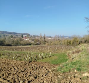Un tour dans la vallée des Vaux - Saint-Jean-de-Vaux - 2