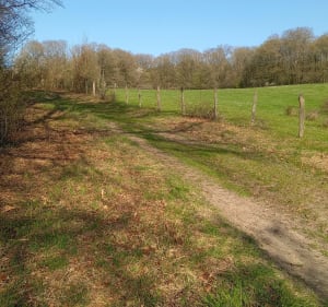 Randonnée champêtre à Holling - Holling - 2