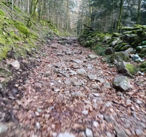 Rando de la vallée de Tendon - Le Tholy - 2