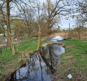 Dopiewo i okolice - Skórzewo - 2