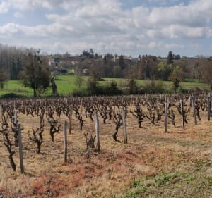Boucle par Chambely - Saint-Julien - 2