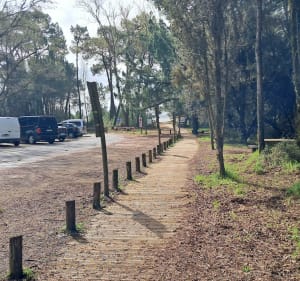 Marche sur l’île d’Oléron à Gatseau - Saint-Trojan-les-Bains - 2