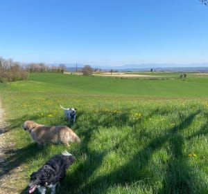 Balade sur les hauteurs de Maubec - Maubec - 2