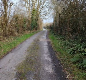 Les ruines romaines sur le bocage Valognais - Huberville - 2