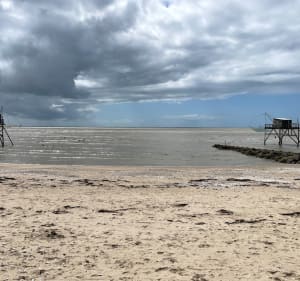 Belle balade au bord de mer de La Bernerie à Moutiers-en-Retz - DJ - 4