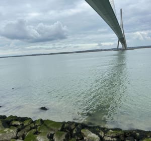 Le Pont de Normandie et l’estuaire de Seine - Honfleur - 2