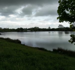 Découverte de la Marne, ses étangs, sa forêt et le Grand Moulin - La Marne - 2
