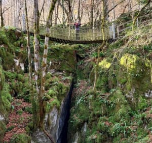 Rando boucles "creux et bosses"et "Hadas" et Plagnol - Eycheil - 2