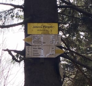 Z przełęczy Walimskiej na Przełęcz Sokolą. - Piotr - 2