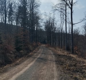 Z przełęczy Walimskiej na Przełęcz Sokolą. - Rzeczka - 2