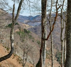 Melles, Pic Plumieres, vue sur le Crabere - Melles - 2