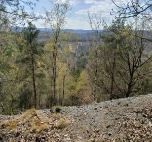 Balade au Parc à Bois et musée de la mine - Petite-Rosselle - 2