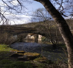 Les croix basses, entre Chadeleuf et Neschers - Chadeleuf - 2