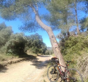 Les Alpilles, et trois petits cols .... à partir de Paradou - Paradou - 3